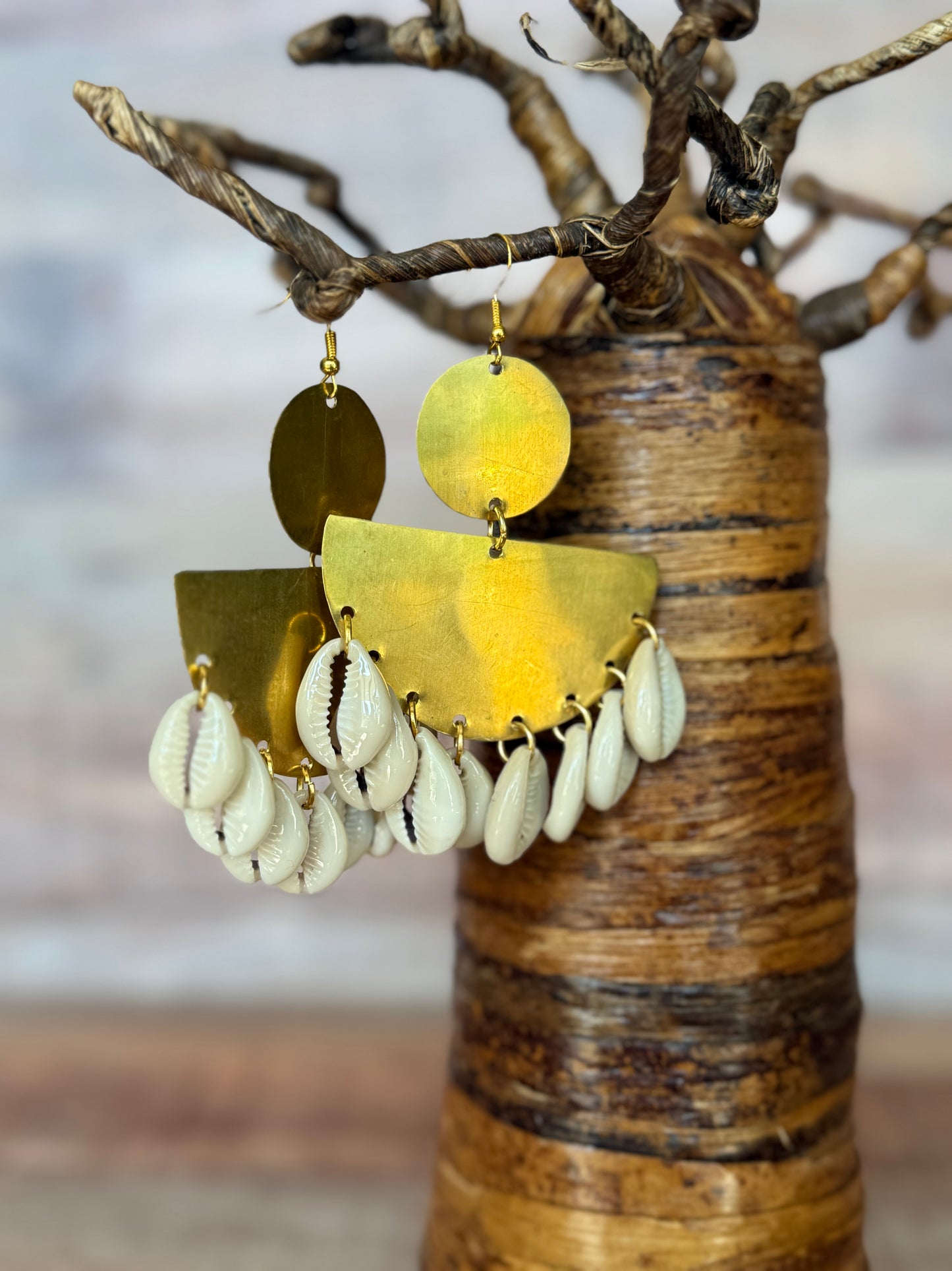 Cowrie Shell earrings